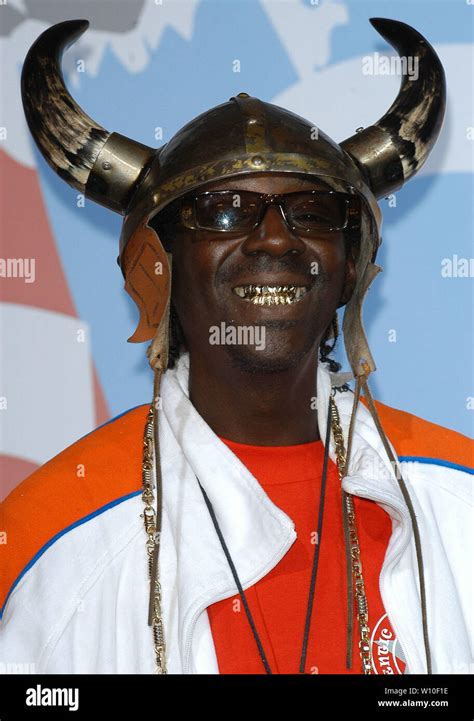 flavor flav viking hat.